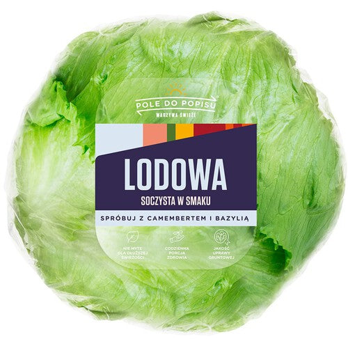 Sałata Lodowa Warzywa Auchan sztuka