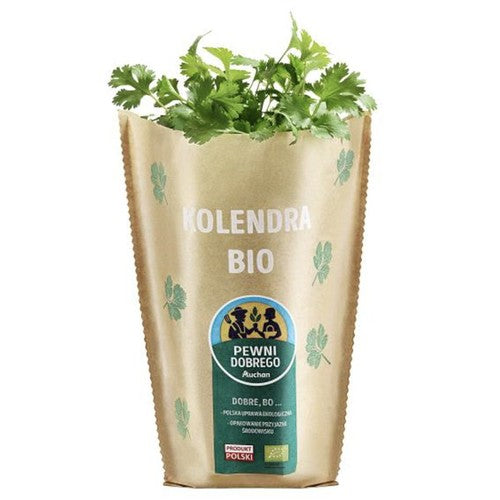 BIO Kolendra Pewni Dobrego sztuka