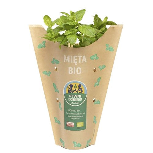 BIO Mięta Pewni Dobrego sztuka