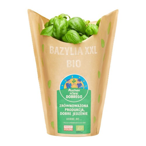 BIO Bazylia XXL Pewni Dobrego sztuka