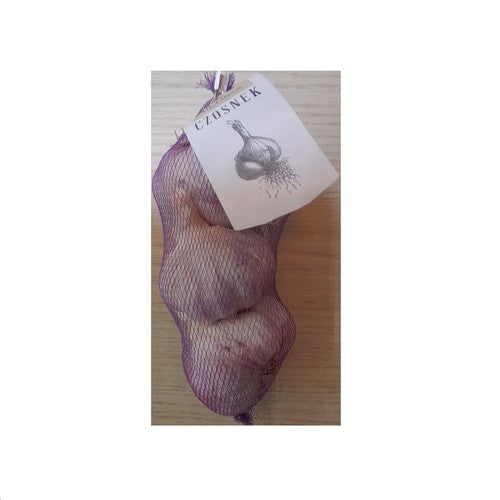 Czosnek XL 3 sztuki Agrosad opakowanie